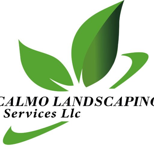 cropped-Logo-3.jpg