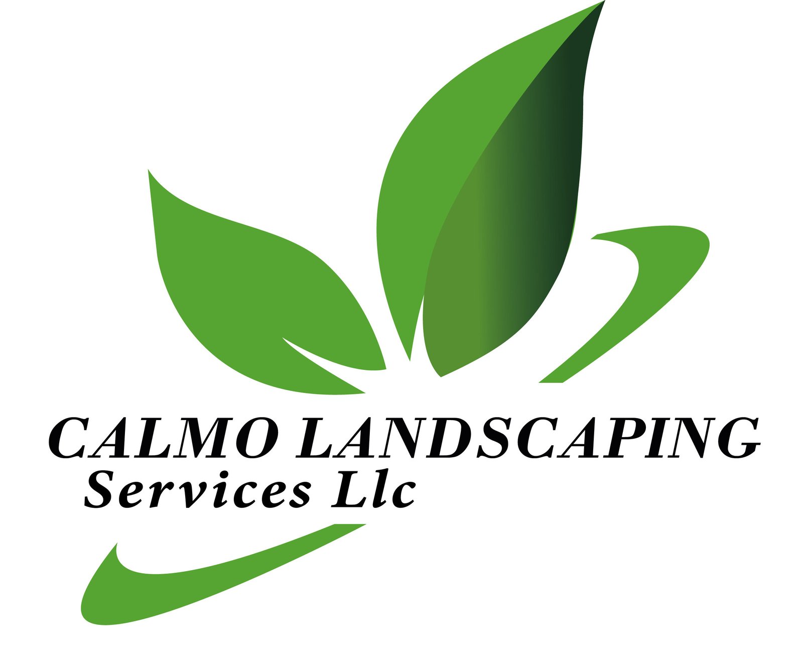 cropped-Logo.jpg