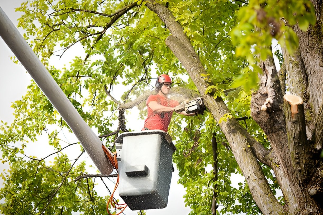 istockphoto-457790295-612×612